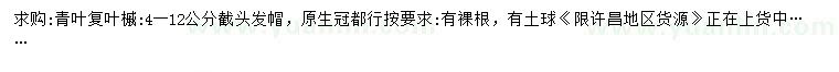 求購4-12公分青葉復(fù)葉槭