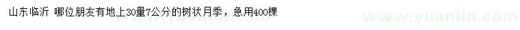 求購30量7公分樹狀月季