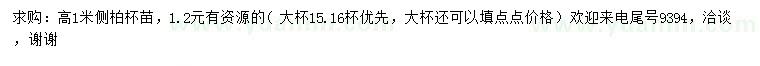 求購高1米側(cè)柏杯苗