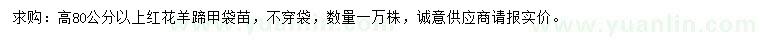 求購高80公分以上紅花羊蹄甲