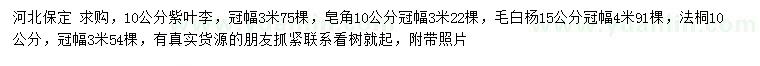 求購紫葉李、皂角、毛白楊等