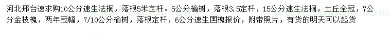 求購速生法桐、榆樹、金枝槐等