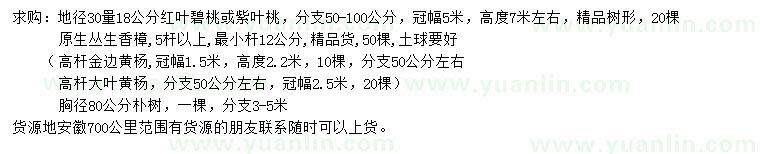 求購紫葉桃、叢生香樟、高桿金邊黃楊等