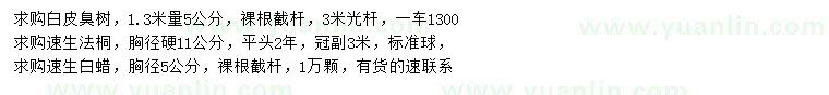 求購白皮臭樹、速生法桐、速生白蠟