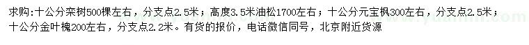 求購欒樹、油松、元寶楓等