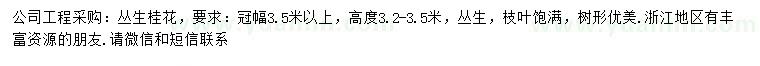 求購(gòu)冠幅3.5米以上精品叢生桂花