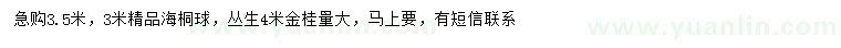 求購(gòu)3、3.5米海桐球、4米叢生金桂