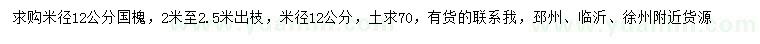 求購米徑12公分國槐