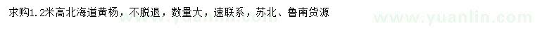 求購(gòu)高1.2米北海道黃楊