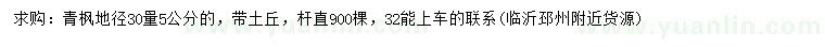 求購地徑30量5公分青楓
