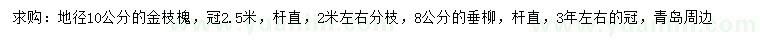 求購地徑10公分金枝槐、8公分垂柳