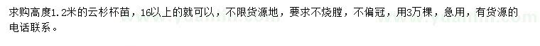 求購高度1.2米云杉