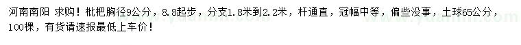 求購胸徑9公分枇杷
