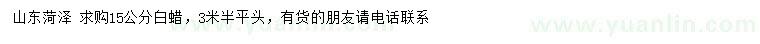 求購15公分白蠟