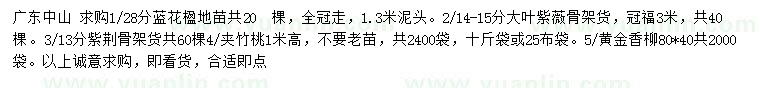 求購藍花楹、大葉紫薇、紫荊等