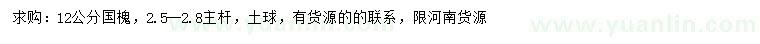 求購12公分國槐