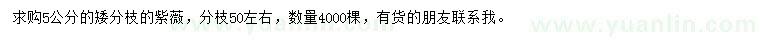 求購5公分紫薇