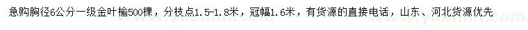 求購胸徑6公分金葉榆