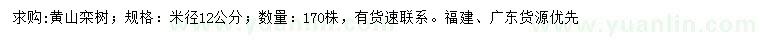 求購米徑12公分黃山欒樹