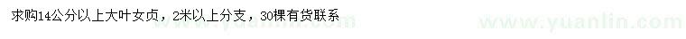 求購(gòu)14公分以上大葉女貞