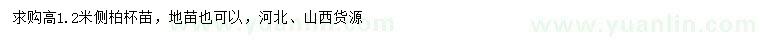 求購(gòu)高1.2米側(cè)柏