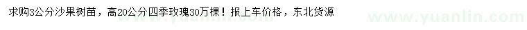 求購3公分沙果樹、高20公分四季玫瑰