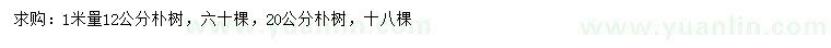 求購1米量12、20公分樸樹