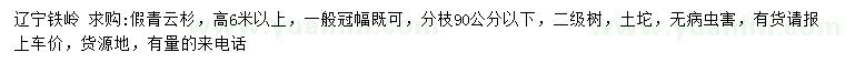 求購高6米以上假青云杉