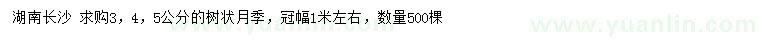 求購3、4、5公分樹狀月季