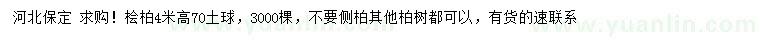求購(gòu)高4米檜柏