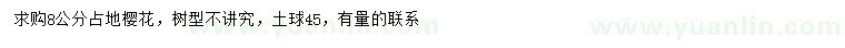 求購8公分占地櫻花