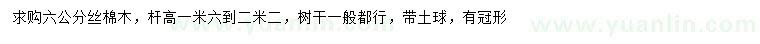 求購6公分絲棉木