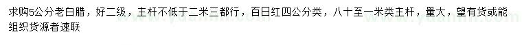 求購5公分老白臘、4公分百日紅