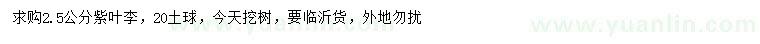 求購(gòu)2.5公分紫葉李