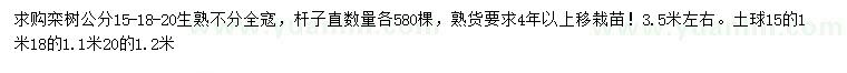 求購15、18、20公分欒樹