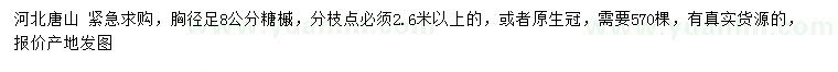 求購胸徑足8公分糖槭