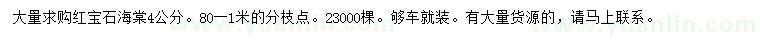 求購(gòu)4公分紅寶石海棠