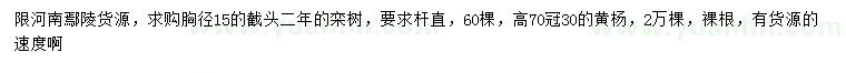 求購胸徑15公分欒樹