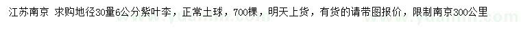 求購地徑30量6公分紫葉李