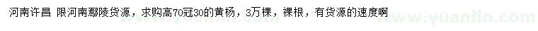 求購高70公分黃楊