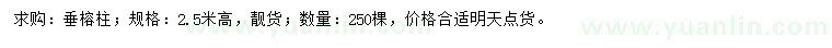 求購高2.5米垂榕柱