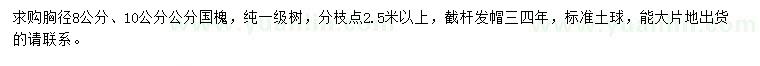 求購(gòu)胸徑8、10公分公分國(guó)槐