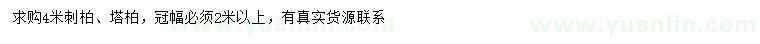 求購4米刺柏、塔柏