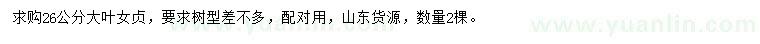 求購26公分大葉女貞