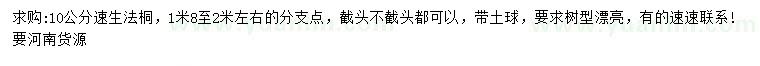 求購10公分速生法桐