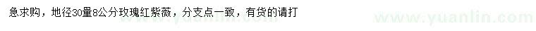 求購地徑30量8公分玫瑰紅紫薇