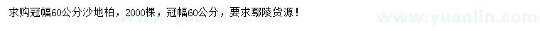求購冠幅60公分沙地柏