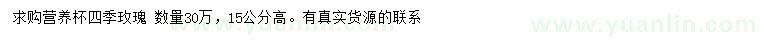 求購(gòu)高15公分四季玫瑰