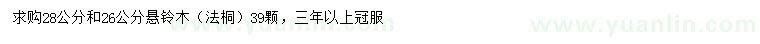 求購26、28公分懸鈴木（法桐）