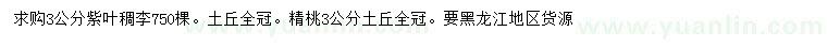 求購3公分紫葉稠李